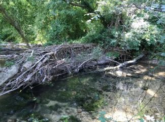 Lavori-fiume-Potenza