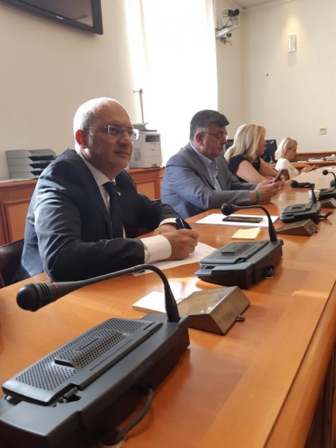 PATASSINI-AUDIZIONE-ANTIRUMORE