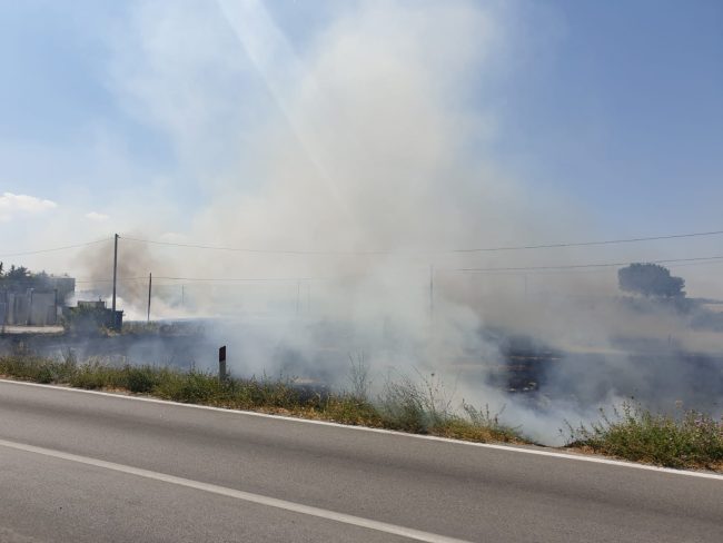 incendio-pot-pic-2-650x488