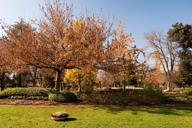 Parco_Giardini-Diaz-1-650x434