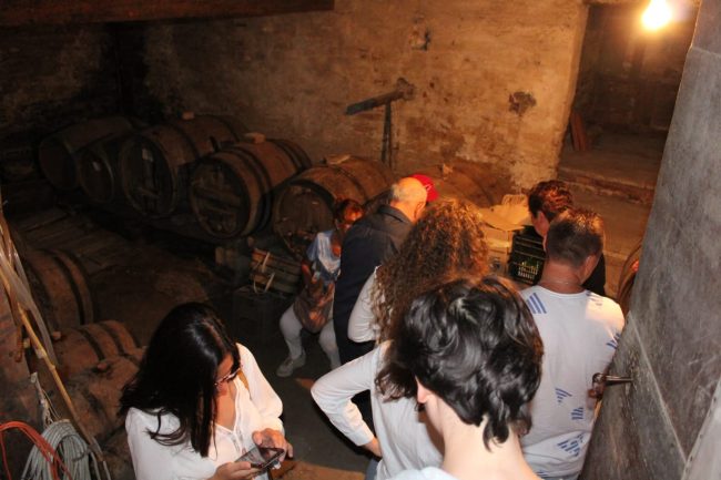 Vino-cotto-2019-Loro-Piceno-4-650x433