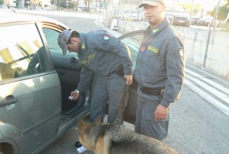 guardia-di-finanza-archivio-arkiv-e1568968154616-325x219
