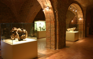 museo-scienze-unicam