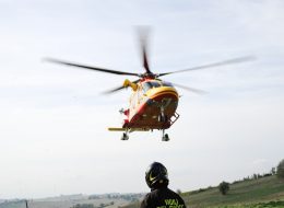 Al lavoro per potare le piante,  un 69enne colpito da un ramo:  trasportato in eliambulanza a Torrette