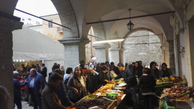 borsa-turismo-cingoli