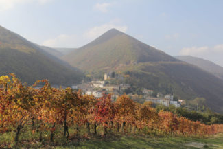 Via-ad-appassimenti-aperti-Serrapetrona-1-325x217