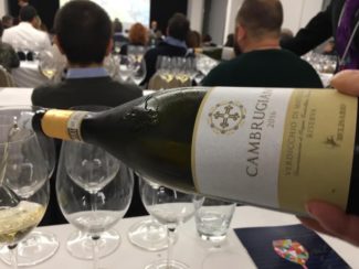 cambrugiano-verdicchio-matelica-belisario
