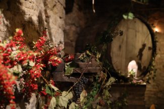 cantine-pollenza-2-325x217