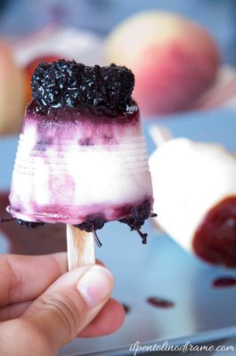 ghiaccioli_morici_il_pentolino_di_rame1-265x400