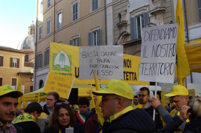 manifestazione-roma-fauna-selvatica-3-650x432