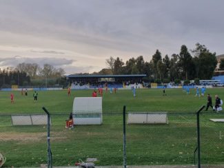 pineto-matelica