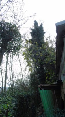 scarpata-via-cappuccini-vecchi-corridonia-mogliano-4-e1574776023946-225x400