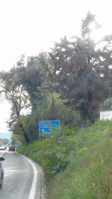 scarpata-via-cappuccini-vecchi-corridonia-mogliano-7-e1574776001671-365x650