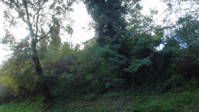scarpata-via-cappuccini-vecchi-corridonia-mogliano-8-650x365