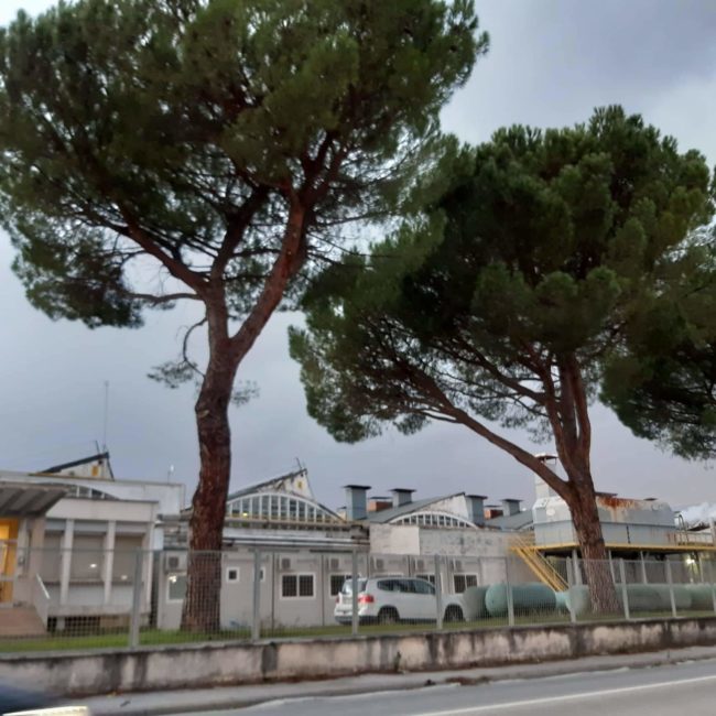 Stabilimento-Antonio-Merloni-Matelica-esterno