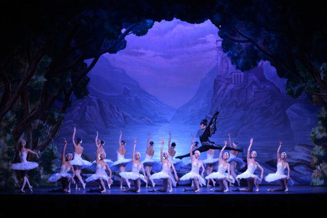 SwanLake_02-650x434