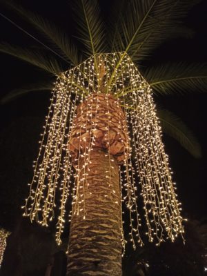 luminarie-civitanova-natale-7-300x400