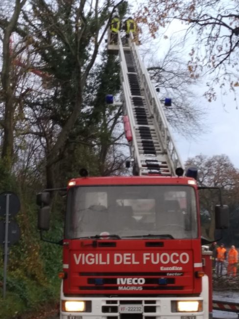 maltempo-vento_treia-5-488x650