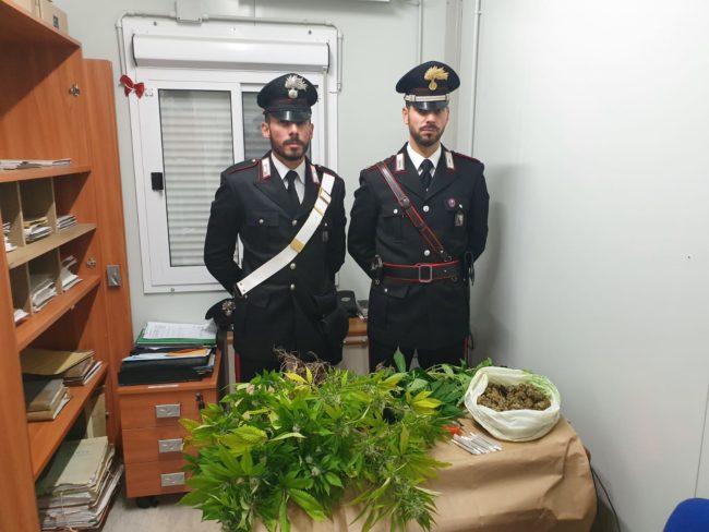 matelica-arresto-un-chilo-di-marijuana-1-650x488
