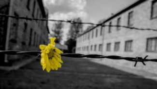 giornata-memoria