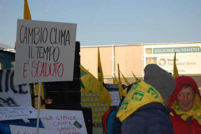 manifestazione-cimice-2-650x432