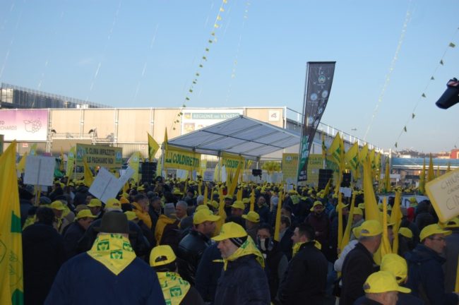 manifestazione-cimice-3-650x432