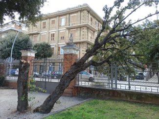 albero-civitanova-3-325x244