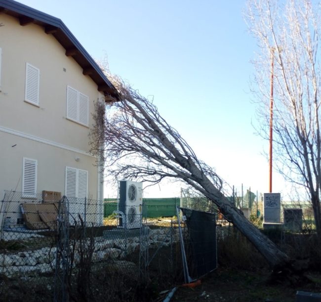 pioppo-cade-tetto-casa-civitanova-e1594741748646-650x611