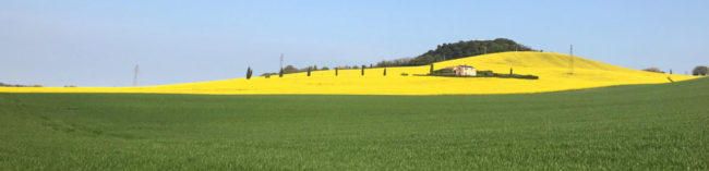 La-bellezza-della-campagna-di-Recanati1-650x157