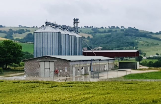 cerealmarche-1-650x422