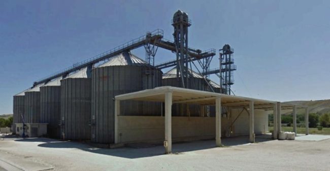 cerealmarche-2-650x338