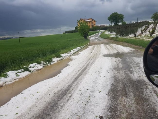 grandinata-morrovalle-3-650x488
