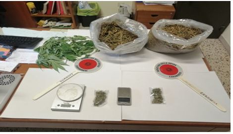 marijuana-sequestrata-petriolo