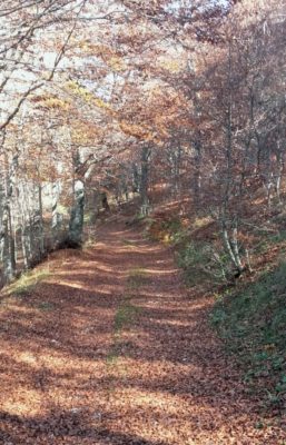 parco-nazionale-monti-sibillini-1-257x400