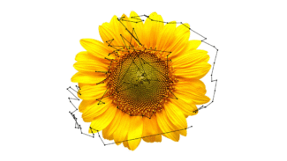 C.Veneziano_animiertes-gif-von-online-umwandeln-de-3-325x183