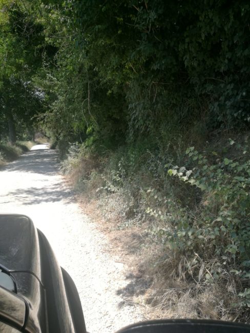 contrada-asola-montecosaro-stefano-rossiImage-2020-06-26-at-15.50.50-488x650