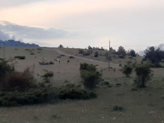 pascoli-sibillini-frontignano-ussita