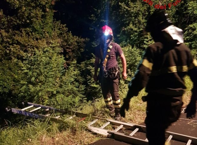 Mogliano_0-650x479