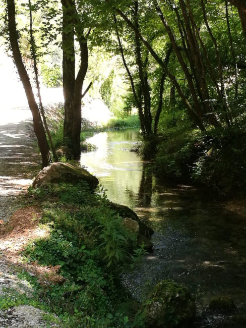 PT_pista_01-488x650