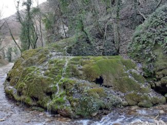 PT_torrente_05-325x244