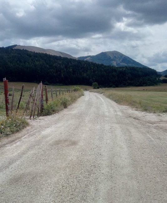 agolla-montelago2-535x650