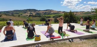 festa_yoga_montelupone-1-325x158