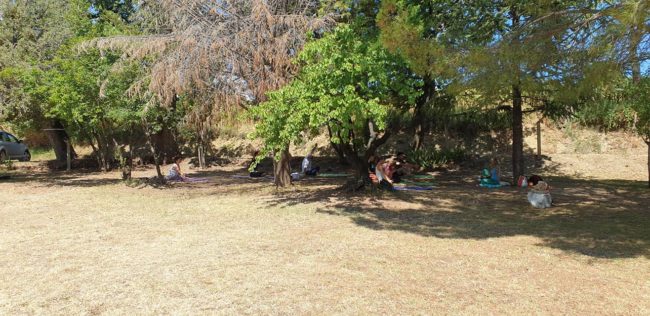 festa_yoga_montelupone-11-650x316