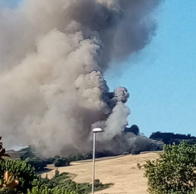 incendio-tolentino1-650x641