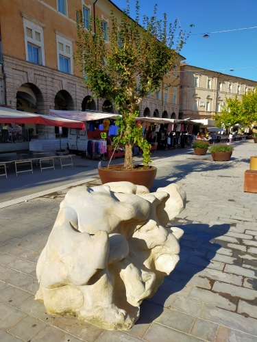 IMG20200822085042