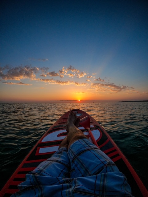 alba-in-sup-1