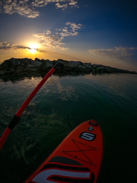 alba-in-sup-2
