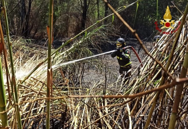 incendio-recanti