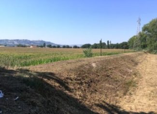 lavori_argine_provincia-4-325x236