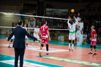 med-store-pallavolo